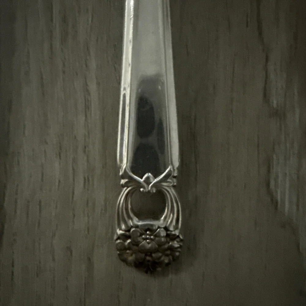 1847 Rogers Bros ETERNALLY YOURS Silverplate‎ Solid Serving Spoon Flatware